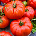Jersey Tomato Seeds - 30+ Organic Beefsteak NON-GMO - Fresh Plant Seeds - Heirloom Variety