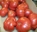 Heirloom Tomato Seeds - 38 Seeds - Manitoba Variety - Solanum lycopersicum - 60 Days to Harvest