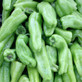 Cubanelle Pepper Seeds 50+ Non-GMO Sweet Vegetable Seeds - Capsicum annuum - USA Seller, Free Shipping