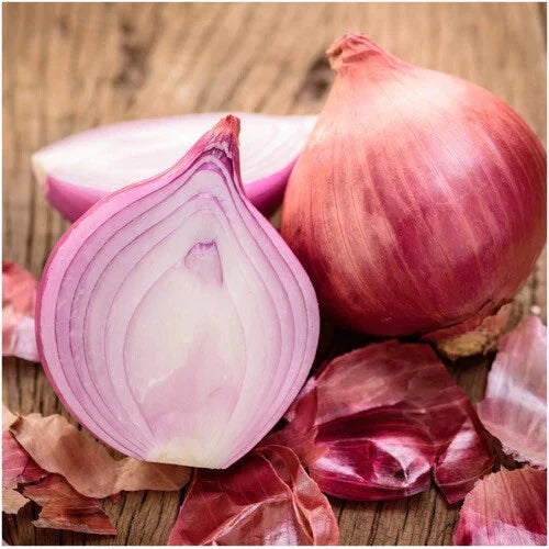 Ruby Red Onion Seeds - Heirloom Non-GMO Variety - Allium cepa - Free Shipping Available