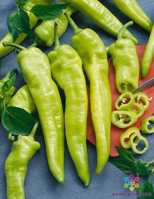 Hungarian Wax Hot Pepper Seeds - 25+ Seeds for Garden Planting - Capsicum annuum - USA - Free Shipping