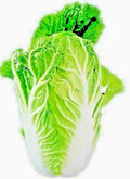 Chinese Cabbage Seeds 100+ Heirloom for Spring Microgreens Garden Vegetable Salads (Brassica rapa)