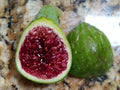 Fresh Fig Tree Cuttings - Select Variety - Easy Rooting - Davis Wildhorse