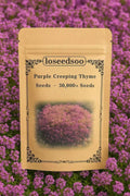 Creeping Thyme Seeds - 30000+ Purple Ground Cover Perennial - Non-GMO Heirloom (Thymus serpyllum)