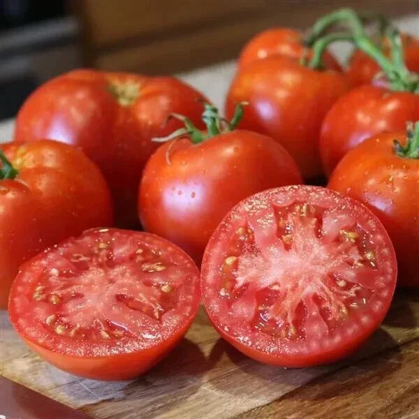 Better Boy Tomato Seeds - 50 Count Pack - 2024 Harvest - Solanum lycopersicum - USA Grown