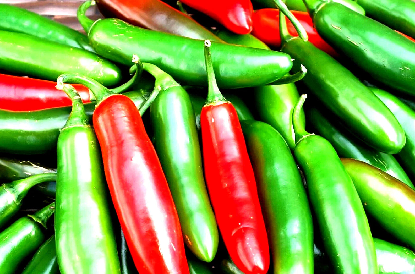 Serrano Hot Sweet Pepper Seeds 25 Non-GMO Seeds Capsicum annuum