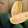 Organic Sweet Siberian Watermelon Seeds - 10 Pack - USA Grown - Heirloom Variety - Non-GMO