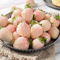 White Strawberry Seeds - 100+ Pineberry Hula Berry - Alpine Berry - Perfect for Container Garden - USA Grown