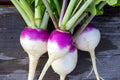 Purple Top Turnip Seeds - 1,000+ Seeds for Planting - Brassica rapa - Heirloom Vegetable Garden Seeds
