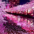 Japanese Sakura Cherry Blossom Tree Seeds - Prunus sargentii - Hardy Flower Plant for Garden and Landscaping