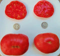 Ponderosa Pink Seeds - Huge! +25 Seeds - Heirloom Tomato (Solanum lycopersicum) - Non-GMO, Organic