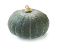 Kabocha Squash Seeds - 10+ Sweet Nutty Flavor Japanese Pumpkin - Cucurbita maxima - USA
