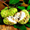 Organic Sugar Apple Seeds - Tropical Sweetsop Fruit Tree - Annona squamosa