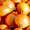 Utah Yellow Sweet Spanish Onion Seeds | Heirloom NON-GMO | Vegetable Garden Seeds | Allium cepa