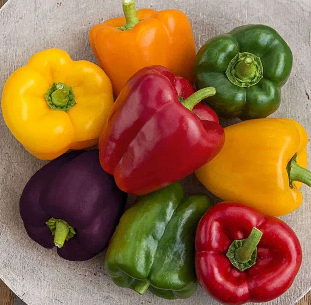 Rainbow Blend Sweet Bell Pepper Seeds - 300+ Pack, Non-GMO, Capsicum annuum