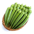 Perkins Long Pod Okra Seeds - 25+ Heirloom Non-GMO Seeds - Fresh Garden Variety - Abelmoschus esculentus