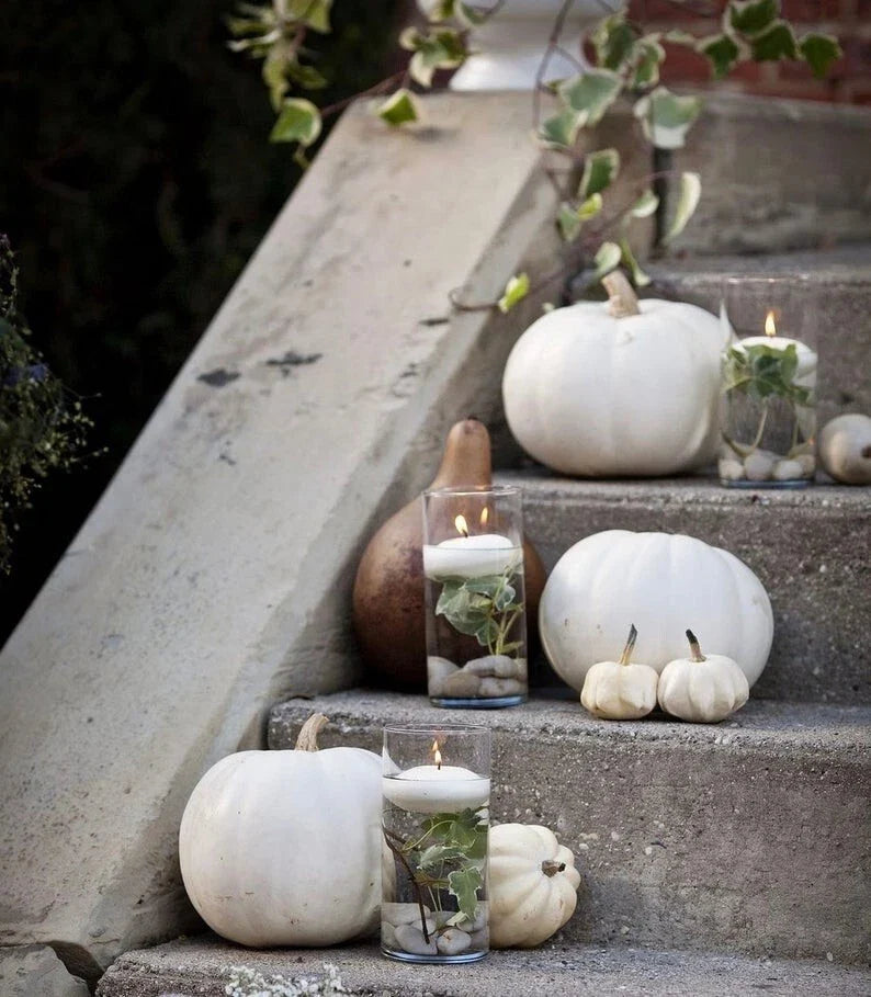White Pumpkin Seed Collection - Ghost Pumpkin, Casper, Baby Boo - Cucurbita pepo