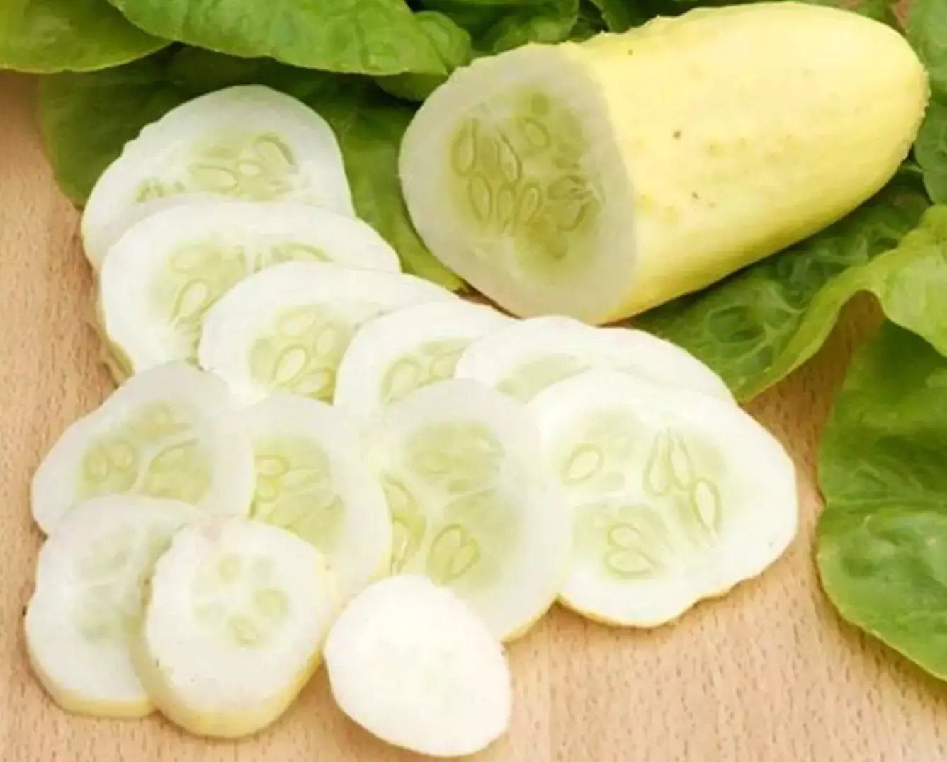 White Wonder Cucumber Seeds - Organic Heirloom, Non-GMO, Rare Variety - 100+ Seeds (Cucumis sativus)