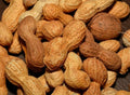 Georgia Peanut Seeds 15+ Count - Fresh Peanut Seeds for Planting - Arachis hypogaea