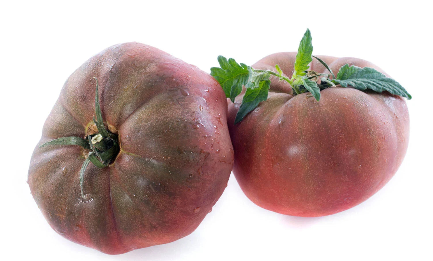 Organic Black Krim Tomato Seeds - 50+ Large Beefsteak Rare Russian Heirloom (Solanum lycopersicum)