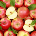 Red Delicious Apple Seeds - 25+ Premium Seeds for Garden Planting - Malus domestica - USA Grown, Free Shipping