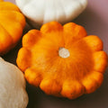 Orange Patty Pan Seeds - Heirloom Bush Scallop Squash - Perfect for 2025 Planting - Cucurbita pepo