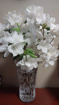 Crape Myrtle Cuttings 50+ White Bloom Fresh Unrooted 5-7" Lagerstroemia Indica