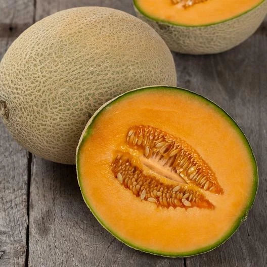 Hales Best Jumbo Cantaloupe Seeds - 100 Count - NON-GMO - Cucumis melo