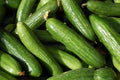 Organic Heirloom Muncher Cucumber Seeds - Non-GMO, Fresh, Perfect for Home Gardens - Cucumis sativus