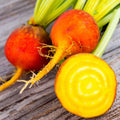 Golden Beet Seeds - 100+ Count - Yellow and Orange Beetroot - Beta vulgaris - Ideal for 2025 Planting