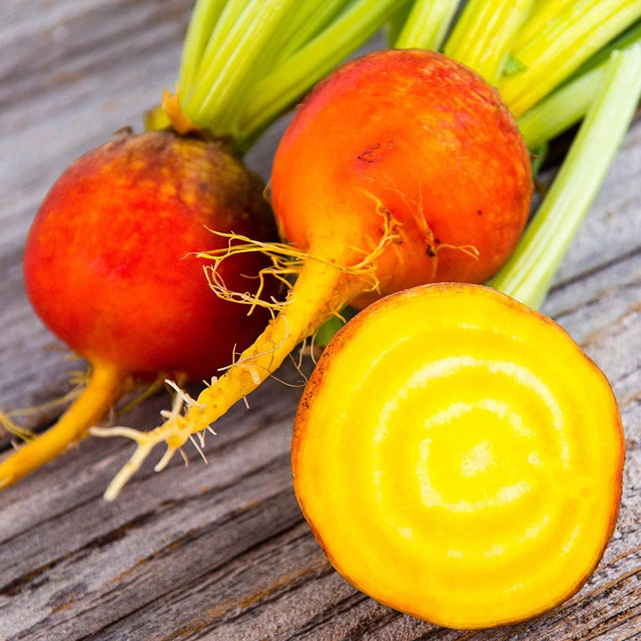 Golden Beet Seeds - 100+ Count - Yellow and Orange Beetroot - Beta vulgaris - Ideal for 2025 Planting