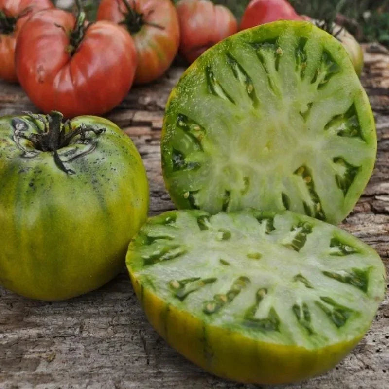 Cherokee Green Tomato Seeds - 30+ Heirloom Organic Non-GMO - Rare Variety for Home Garden - Solanum lycopersicum