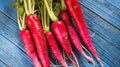 Long Scarlet Radish Seeds - 500+ Pack for Garden Planting - Raphanus sativus - USA Grown - Non-GMO