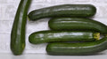 Dunja Zucchini Squash Seeds - 25+ Pack for Garden Planting - Cucurbita pepo - USA - Non-GMO