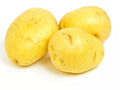 Yukon Gold Seed Potatoes 3 lb Starter - Yellow Skin, Creamy Flesh, Early Variety (Solanum tuberosum)