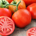 Giant Tomato Seeds - 100+ Count - Indeterminate Non-GMO Garden Seeds - Perfect for Home Growing (USA)