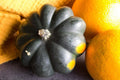 Giant Acorn Squash Seeds - 50 Count - Nutritious Table Squash - Cucurbita maxima