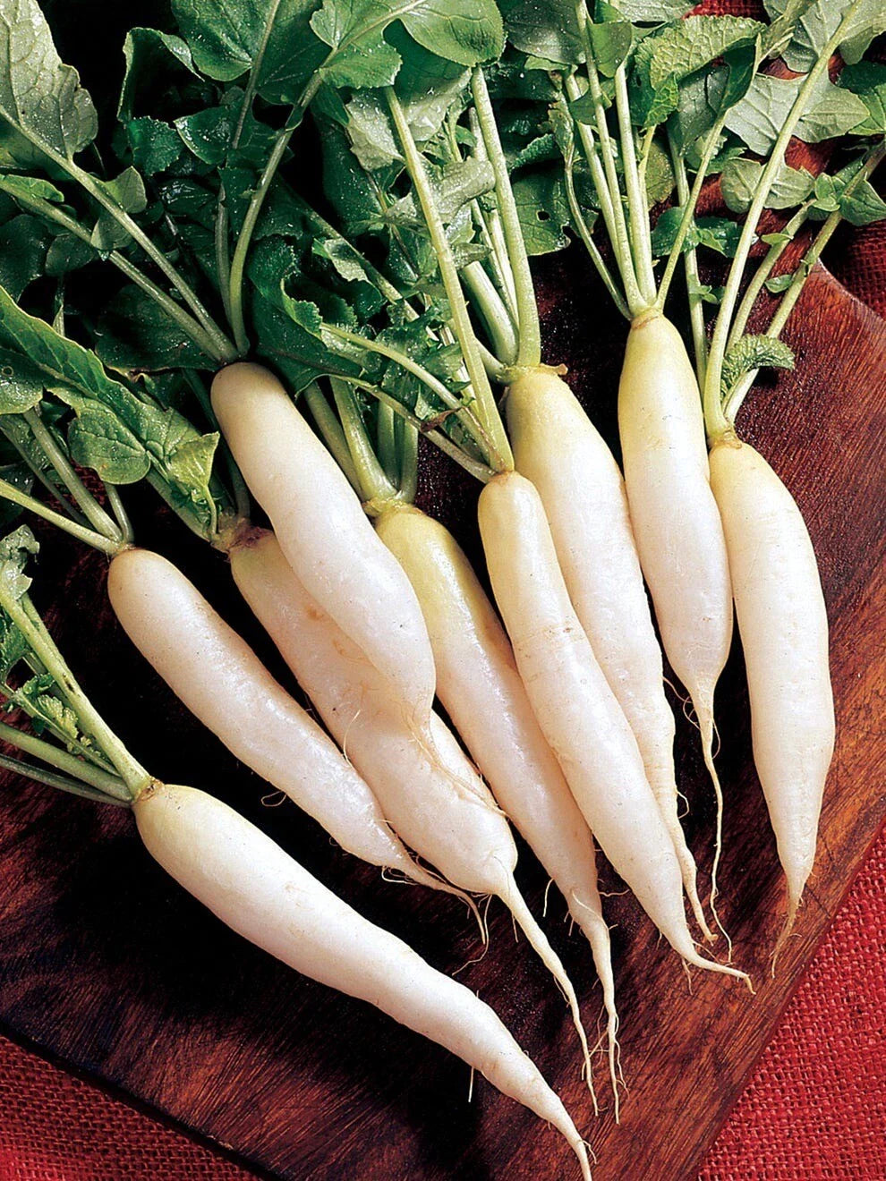 White Icicle Radish Seeds - 200+ Heirloom Non-GMO Organic Seeds - Raphanus sativus