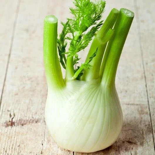 Florence Fennel Seeds Packet, Non-GMO Herb for Home Garden, Foeniculum vulgare var. dulce