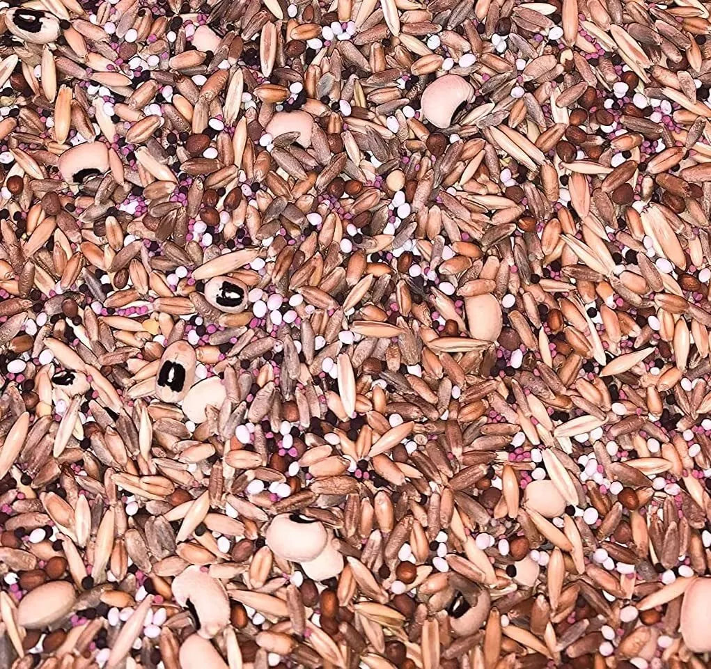 No-Till Cover Crop Seed Mix - 10 Varieties - Winter Rye, White Clover, Austrian Winter Peas - Sustainable Agriculture