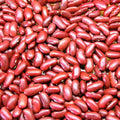 Kidney Bean Seeds Set of 100+ | Phaseolus vulgaris | Non-GMO Garden Seeds for Planting