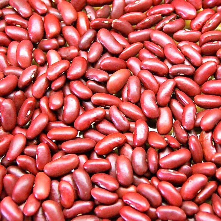 Kidney Bean Seeds Set of 100+ | Phaseolus vulgaris | Non-GMO Garden Seeds for Planting