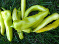 Sweet Banana Pepper Seeds - 100+ Count - Capsicum annuum - Non-GMO, Heirloom, Garden Vegetable Seeds for Planting