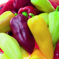 Sweet Pepper Seeds 100 Count - Pretty N Sweet Variety - Capsicum annuum - Non-California Shipping