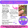 Mystery House Plant Cuttings Set of 6 - Indoor Plant Variety for Home Decor - Ideal for Plant Lovers