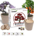 Bonsai Tree Kit - 5 Species All-in-One Plant Kit - Grow Bonsai Trees (Ficus, Juniper, Pine, Maple, Elm)