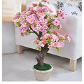 50+ Rare Cherry Blossom Seeds for Planting - Dwarf Pink Sakura Weeping Cherry (Prunus serrulata)