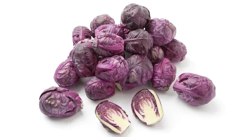 Redarling Brussels Sprouts Seeds - 500+ Pack for Garden Planting - Brassica oleracea