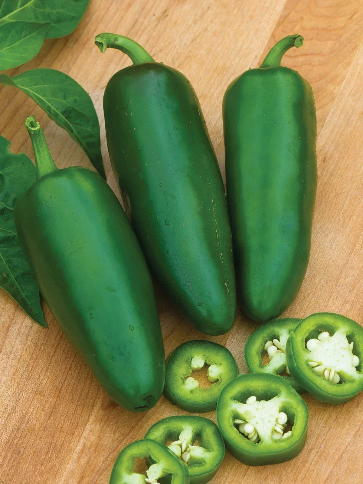 Tam Jalapeno Pepper Seeds - Organic Heirloom - Non-GMO - Fresh Hot Pepper Variety - Capsicum annuum