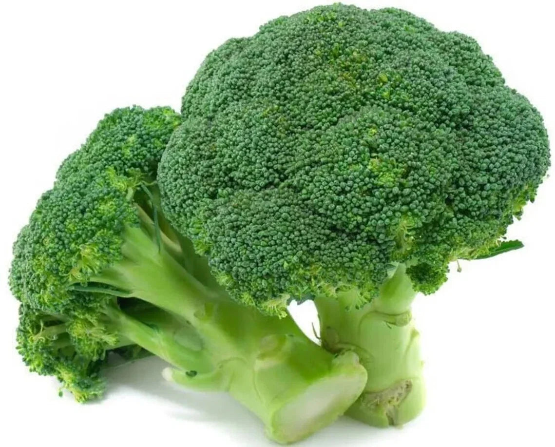 Broccoli Seeds - 1000+ Heirloom Waltham 29 - Organic Non-GMO - Fresh